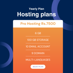 Pro Hosting