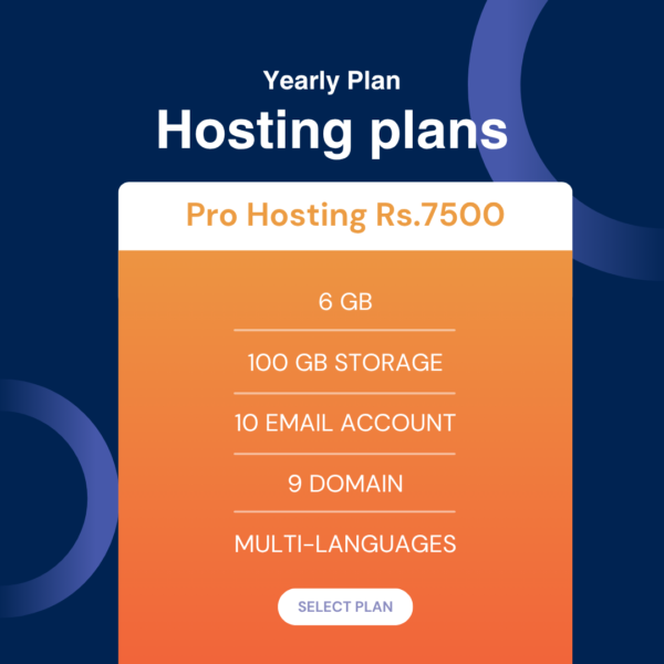 Pro Hosting